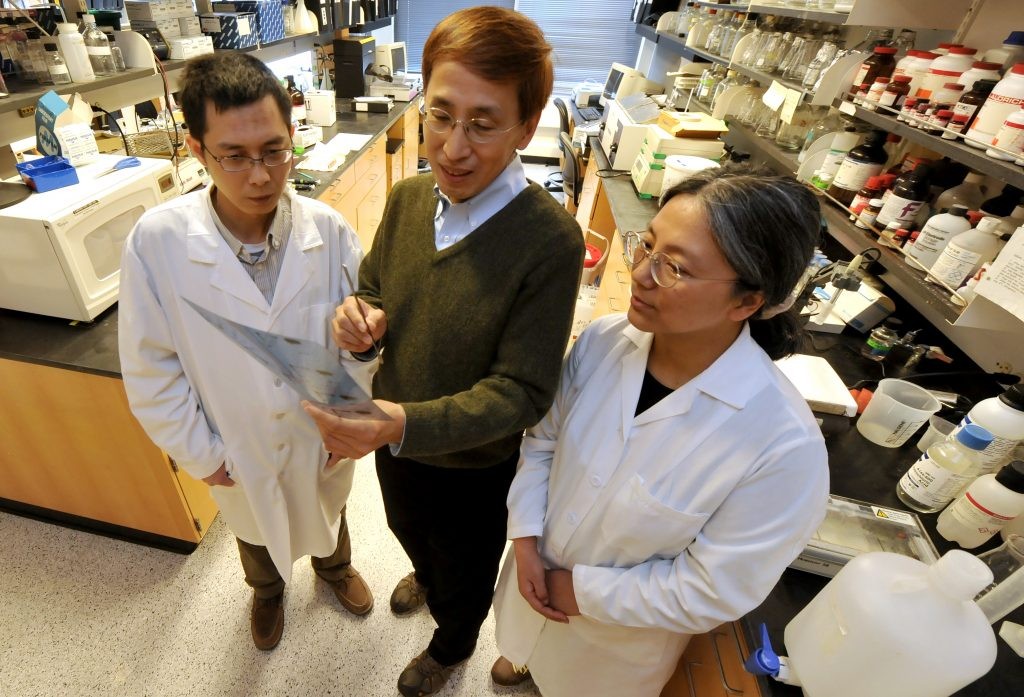 Kiyokawa's Lab at NU